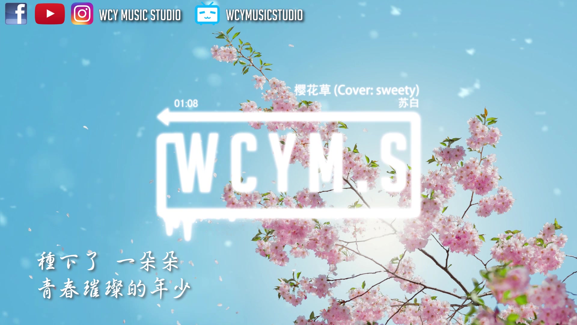 苏白 - 樱花草 (Cover: sweety)【動態歌詞/Lyrics Video】