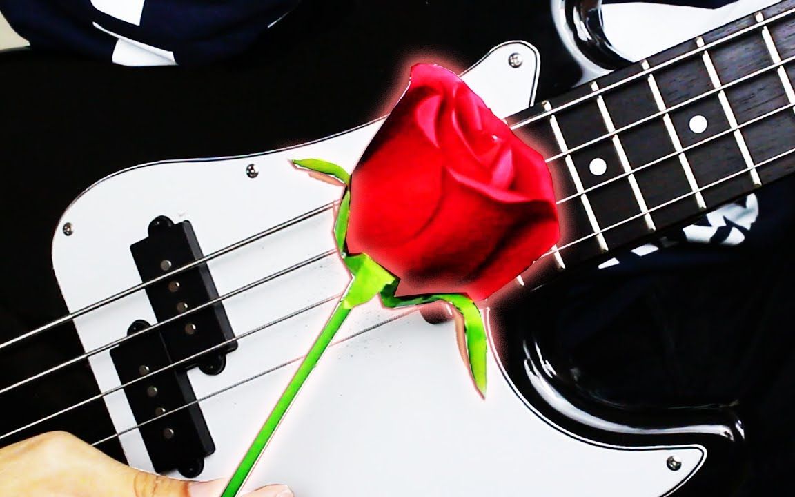 【bass】用枪花演奏枪花乐队歌曲【davie504】