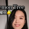 Lemon Tree 柠檬树 又是一首耳熟能详的歌