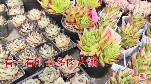 627f44a2cf48b9c715dccfc1b46d4aabd32a6bb7.jpg@480w_270h_1c