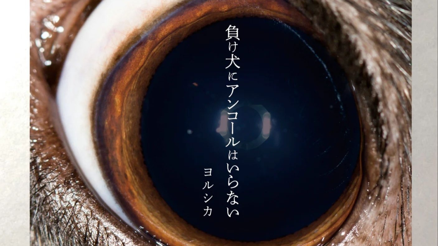 【Hi-Res无损音质】ただ君に晴れ/只愿为你放晴-ヨルシカ（Yorushika） 无损音质纯享