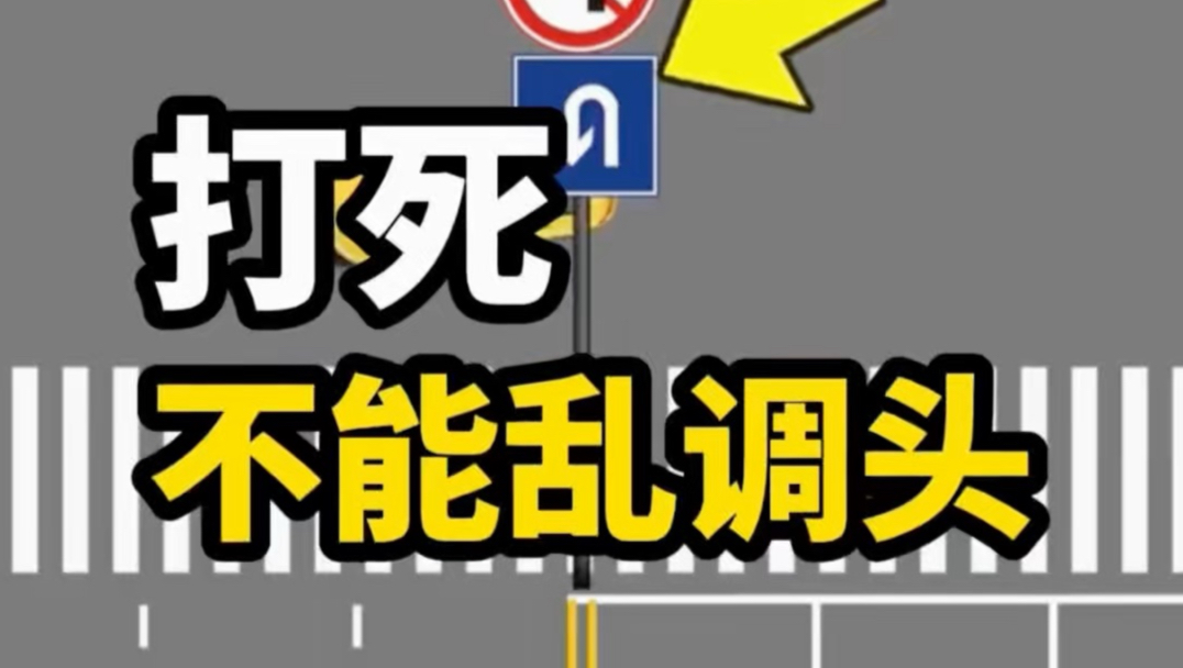 小心你的驾照分