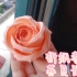 【折纸教程】暮夏玫瑰