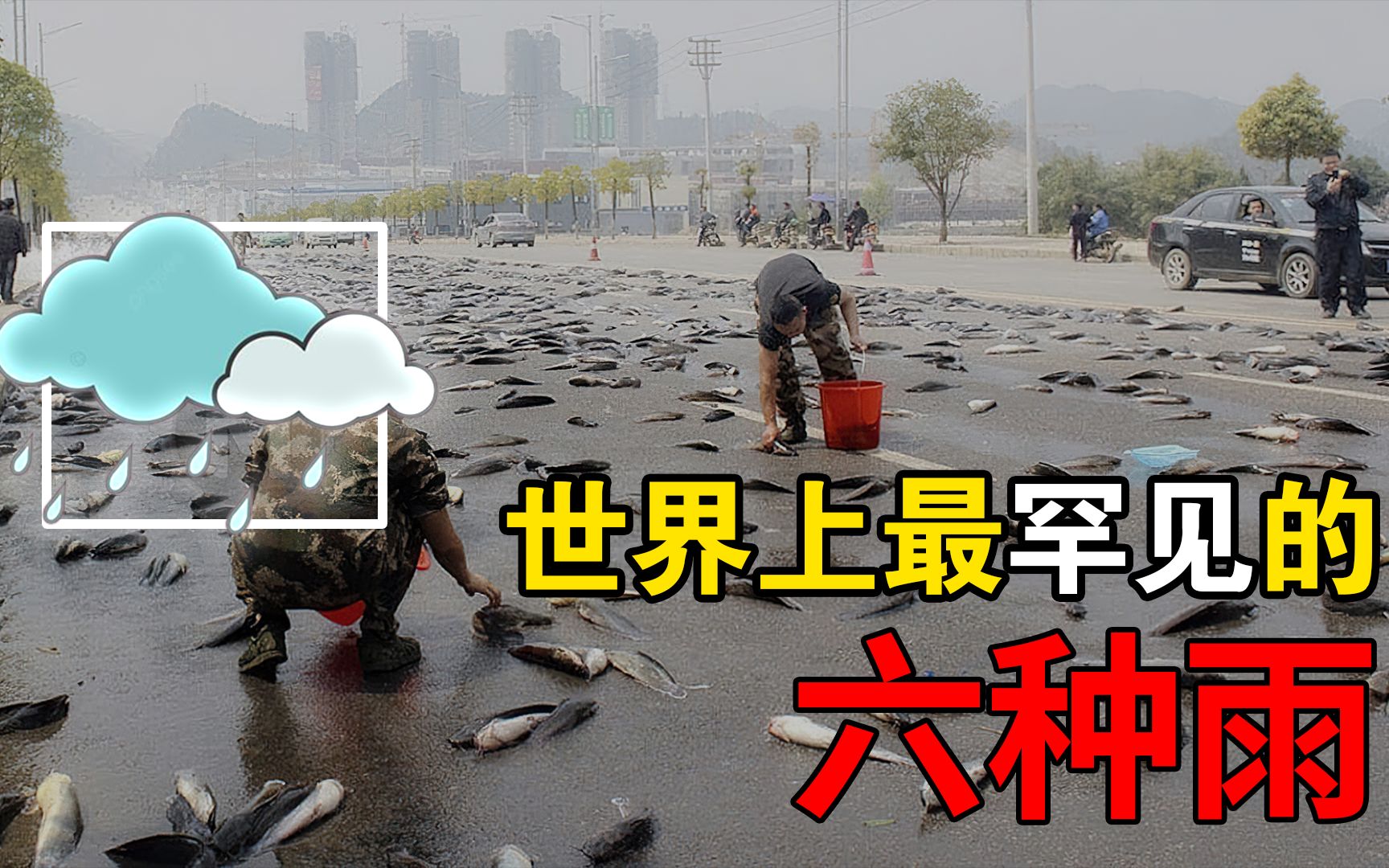 天上下“青蛙”、下肉？世界上最奇特的雨，你都见过几种?