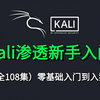 【零基础学Kali】最新kali linux新手入门教程，保姆级教学，存下吧，很难找全的！看完学不会我退出网安圈