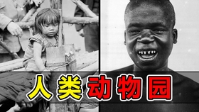 62efd929381dc5ec1fea5e248f4f267d0af53313.jpg@280w_158h_1c_100q.jpg