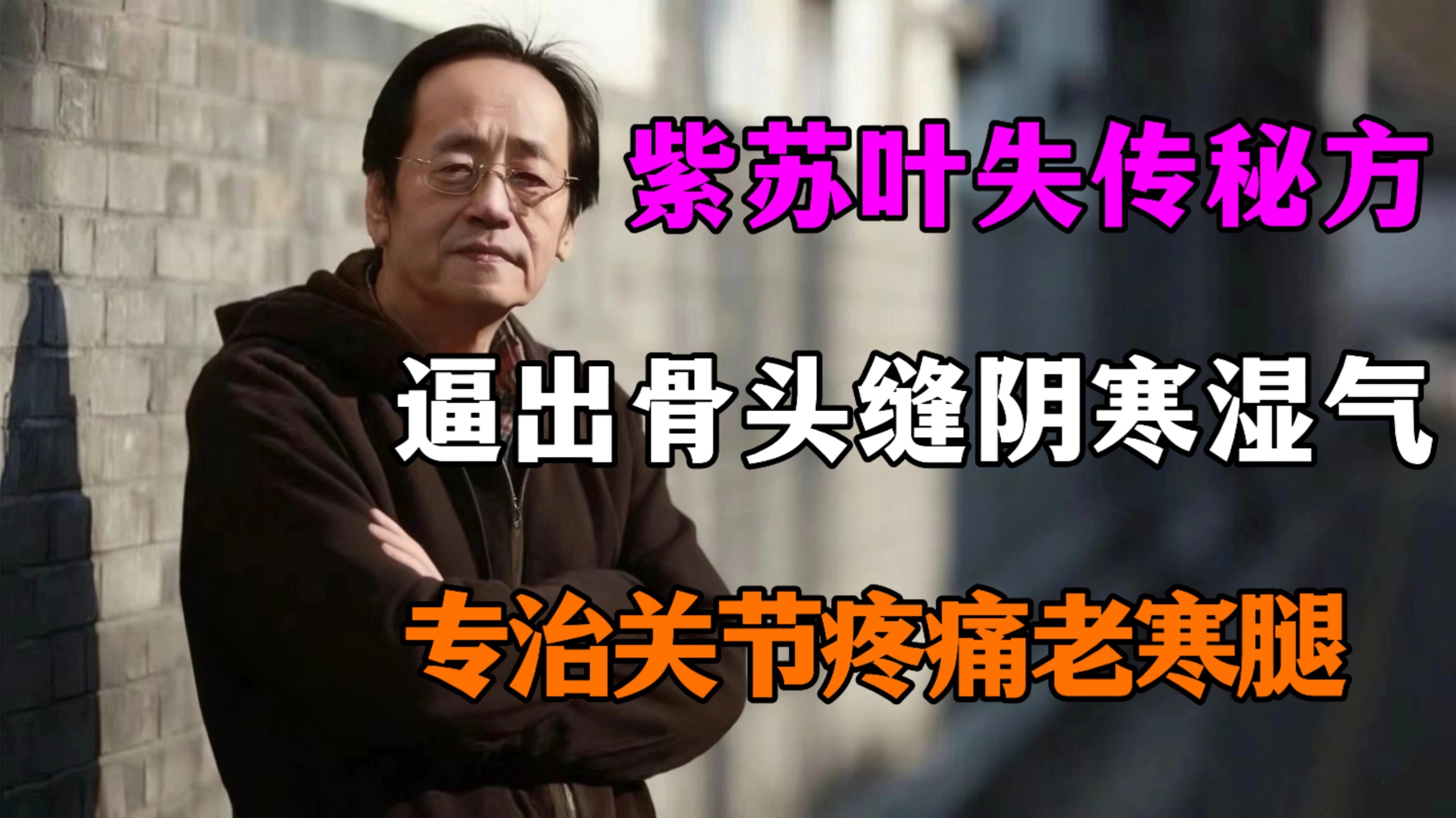 倪海厦：为什么一片不起眼的紫苏叶，能把人骨头缝里那股阴寒湿气一点一点逼出来，专治关节疼痛，老寒腿！