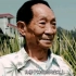 7分钟回顾袁隆平的追梦一生——他的心愿是人们吃饱才能建设国家