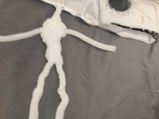 来看白鲸唱歌