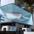 公共媒体艺术“鲸鱼“。韩国SM公司的裸眼3D大屏，创意酷炫来袭！
