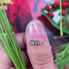 等风等雨等不到你-0424-陈跃-解压-短篇