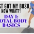 【BOSU】30分钟波速球全身暴汗燃脂｜第一天基础动作训练