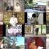 【皇室の窓】新春スペシャル～伊勢神宮を訪ねて～ 20220101