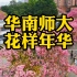 航拍广州：华南师范大学最燃的花样年华！
