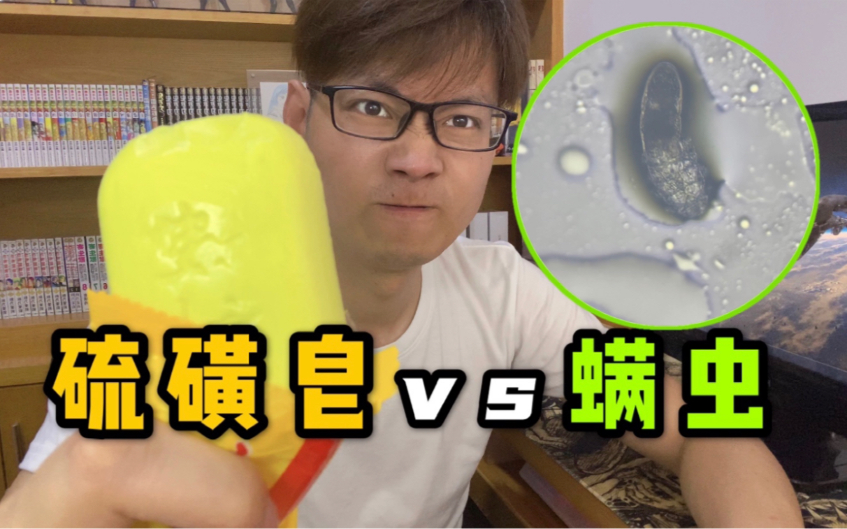 硫磺皂能不能消灭脸上的螨虫！小伙怒抓一只螨虫来实验！看完果断去洗脸