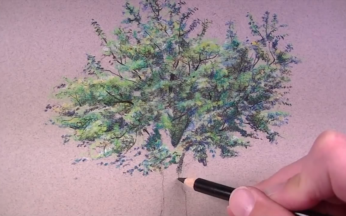 绘画技巧树木的表现手法彩铅