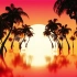 MP4视频文件-热带海洋日落 4k 棕榈树的剪影4k无限循环VJ视频背景     VJ  Background