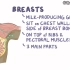 Osmosis 乳腺癌医学科普 Breast Cancer（多方位，简单易懂，医学生一定要看！）