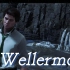 【AI塞包】Wellerman