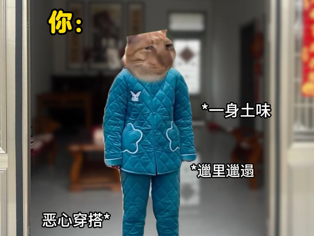 当你过年回家遇到来拜年的亲戚
