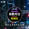 丁禹兮 - 消散对白 (抖音DJ慢摇版