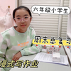 分享六年级小学生日常，沉浸式写作业，周末复习归纳