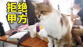 6433287cddef58cef16b22f1265fb38dadf4965a.jpg@280w_158h_1c_100q.jpg