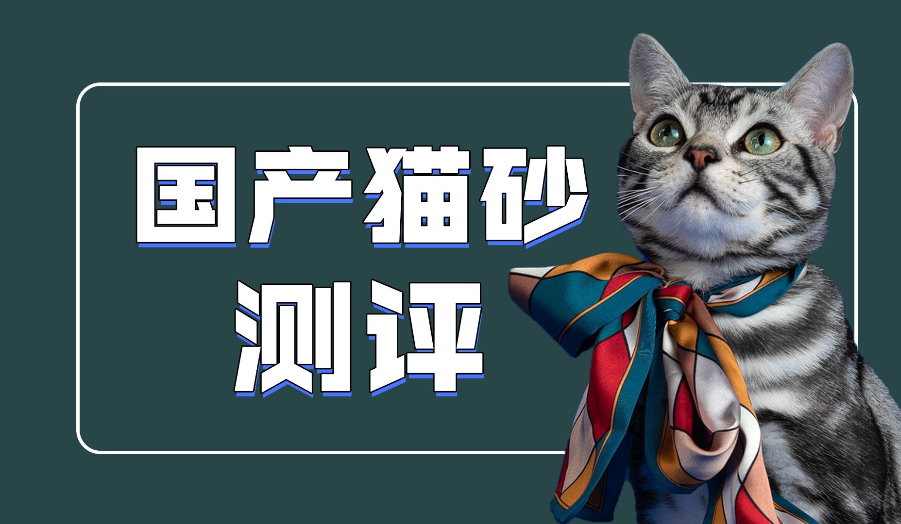 国产膨润土猫砂测评!城市理享、网易严选、猫不理狗子……谁才是更好用的那个砂?哔哩哔哩bilibili