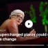 双语字幕TED演讲：改造过的植物，如何延缓气候变化？