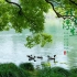 西湖丨杭州有句话叫：“孤山不孤，断桥不断。”