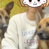 这狗儿子是一定要认的吗