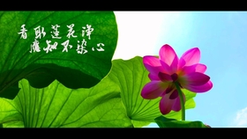 64757265ada1f853767c3664a6969e99a4c5db10.jpg@280w_158h_1c_100q.jpg