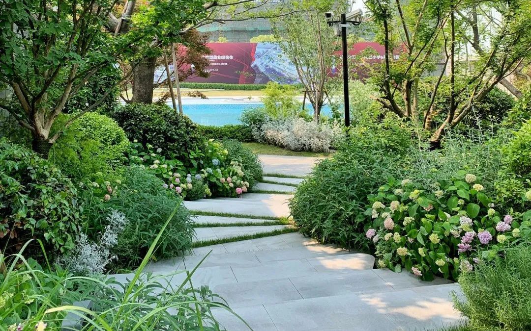 庭院景观-植物配置、植物搭配教程_哔哩哔哩_bilibili