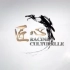 CGTN法语频道节目《匠心 》系列之《南京云锦》-中法字幕