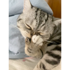 猛男舔脚脚