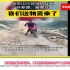 重庆山火无数志愿者自发组队救援，外国网友：中国人很团结.