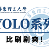 【B站最全YOLO系列教程】一口气学完目标检测YOLOv1-v11，超100集算法原理+代码复现+论文解读，主打一个通俗易懂