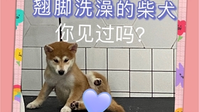 64c9569301d3e91fad0de7a92bd5f2285d0767ce.jpg@280w_158h_1c_100q.jpg