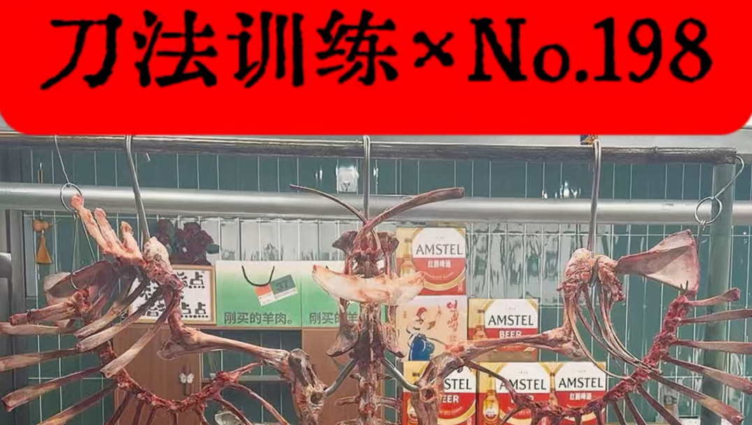 环指人体派学徒｜刀法训练第198天✔️