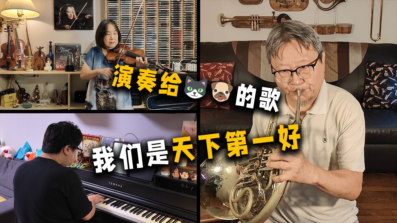 一首演奏给喵喵汪汪的🎶 我们是天下第一好～