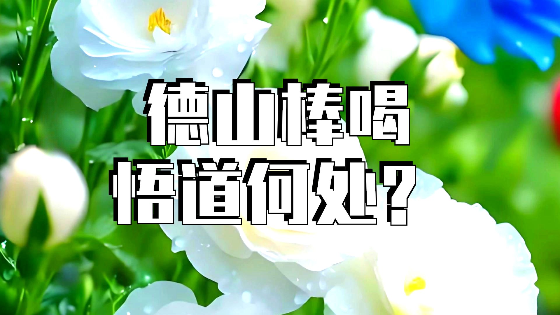 体佛法师开示：三际求心