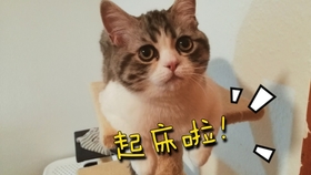 64ef6ebaa569292cc924a582d222f5de89941879.jpg@280w_158h_1c_100q.jpg