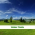 Valder Fields - Tamas Wells (歌词版)