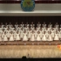 《雪花的快乐》陕西省小天鹅艺术团合唱团