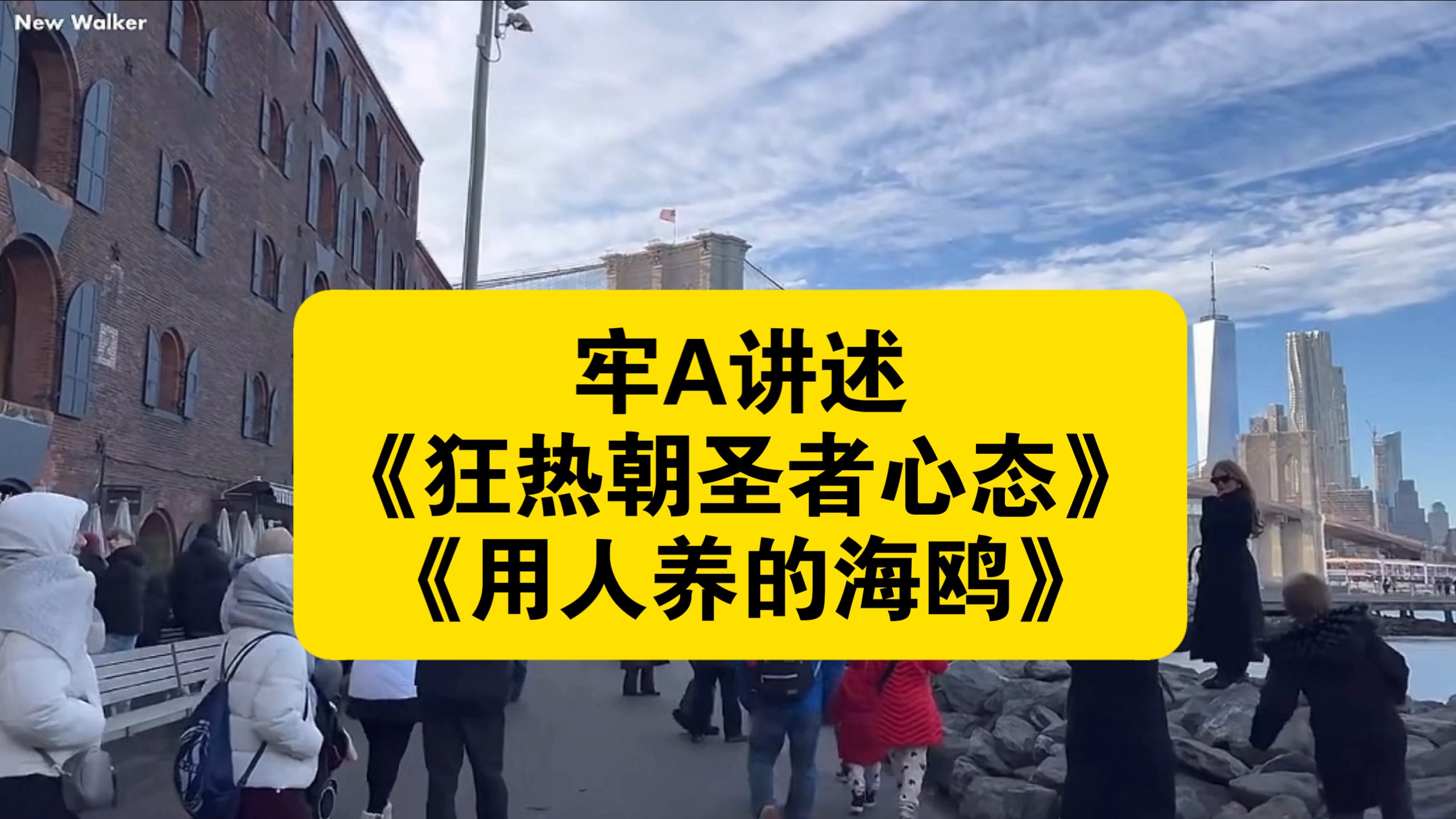 牢A讲述《狂热朝圣者心态》《用人养的海鸥》