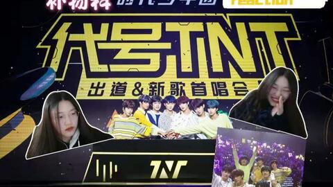 tnt莱利恶搞视频,