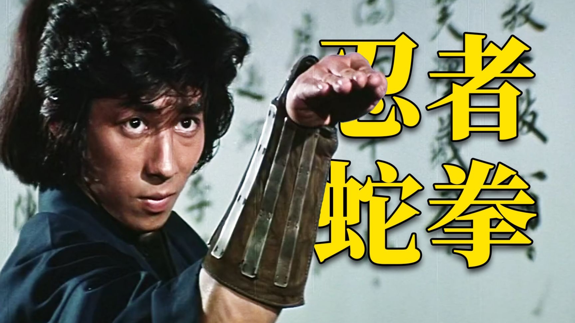 龙拳蛇手斗蜘蛛（功夫武打）超清