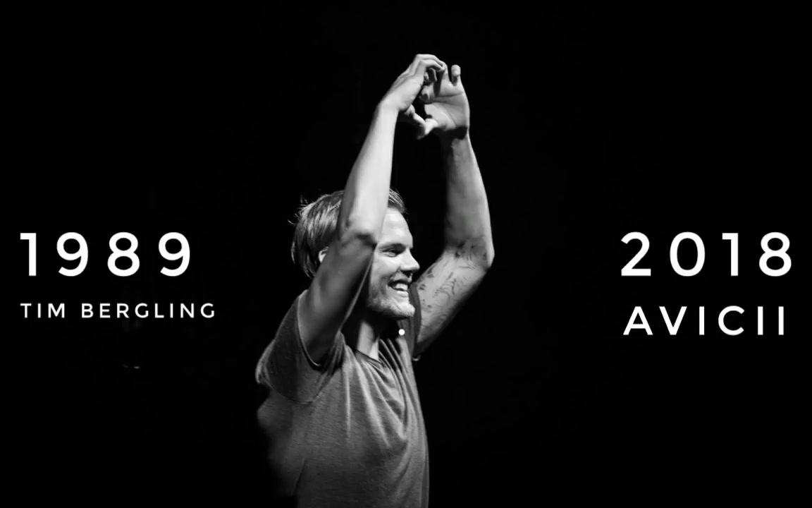 ripavicii19892018