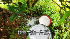 6559e93a1180c1e0def7f3fb411849ffb780201d.jpg@280w_158h_1c_100q.jpg