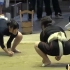 日本女子相扑选拔大会！女孩子上擂台肉搏，一样的凶猛！
